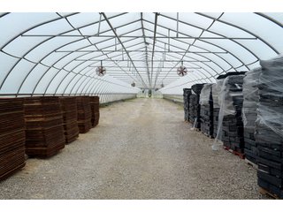 Property photo 6 - GREENHOUSE FARM AUCTION IN HENRY COUNTY, OHIO